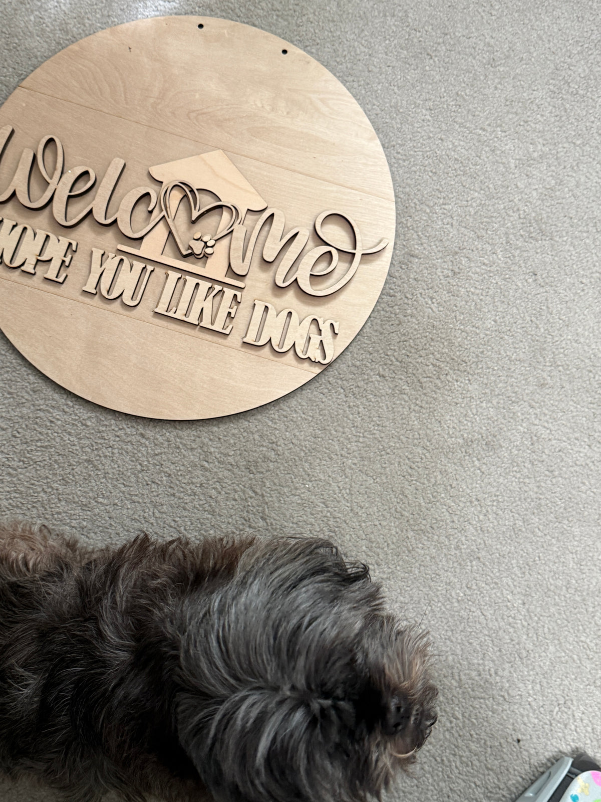 Welcome Hope You Like Dogs Wooden Door Hanger | DIY or Painted