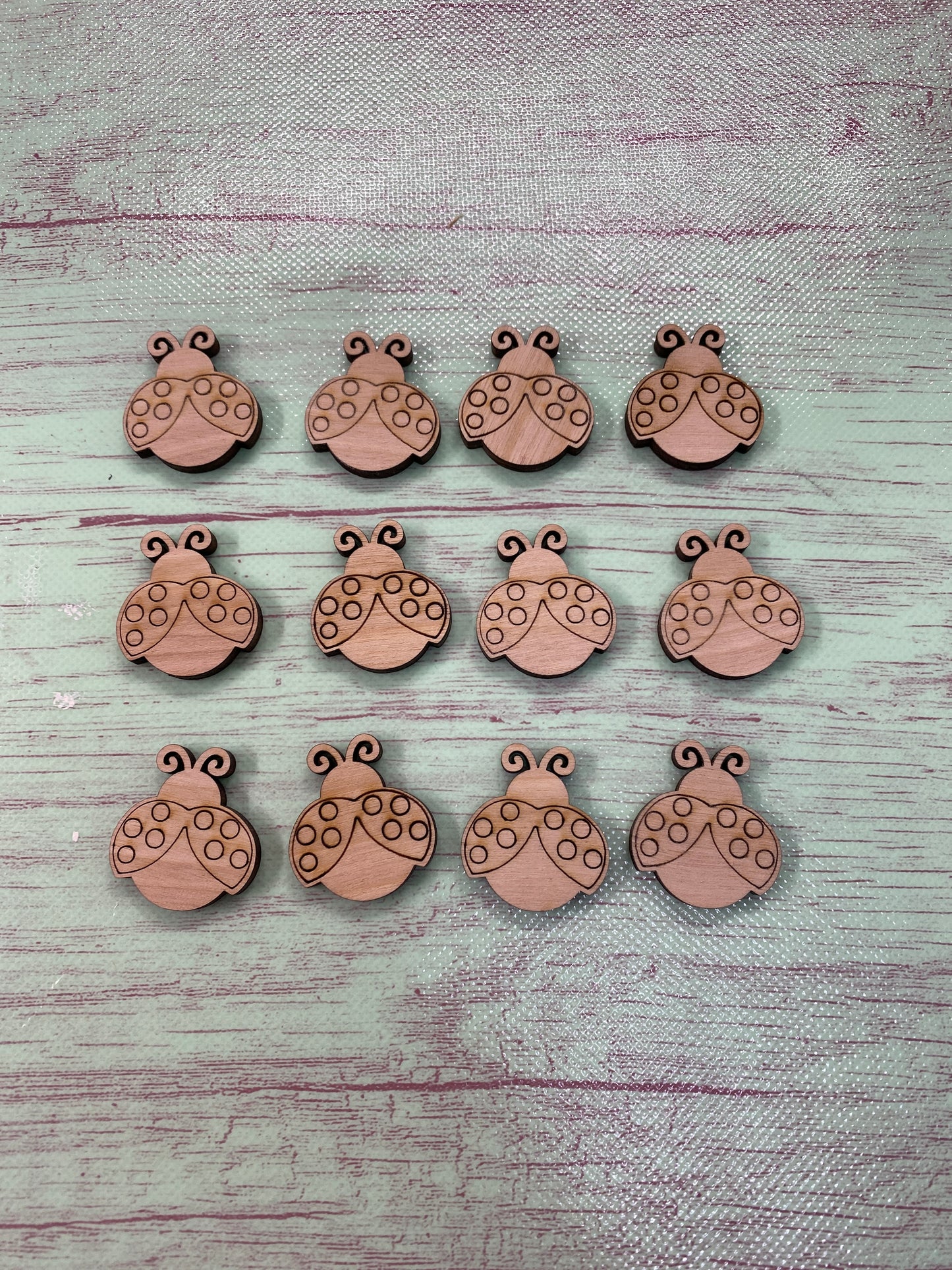Ladybug Shape Laser Cut Blank for DIY Project
