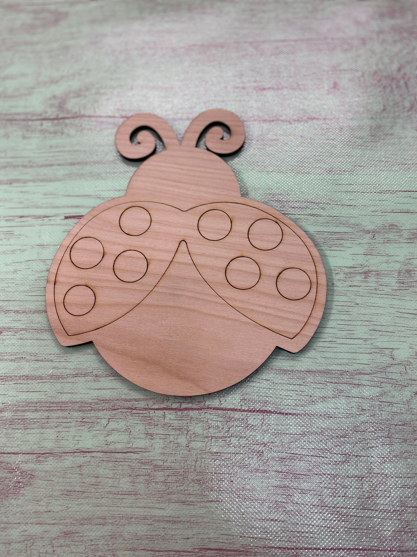 Ladybug Shape Laser Cut Blank for DIY Project