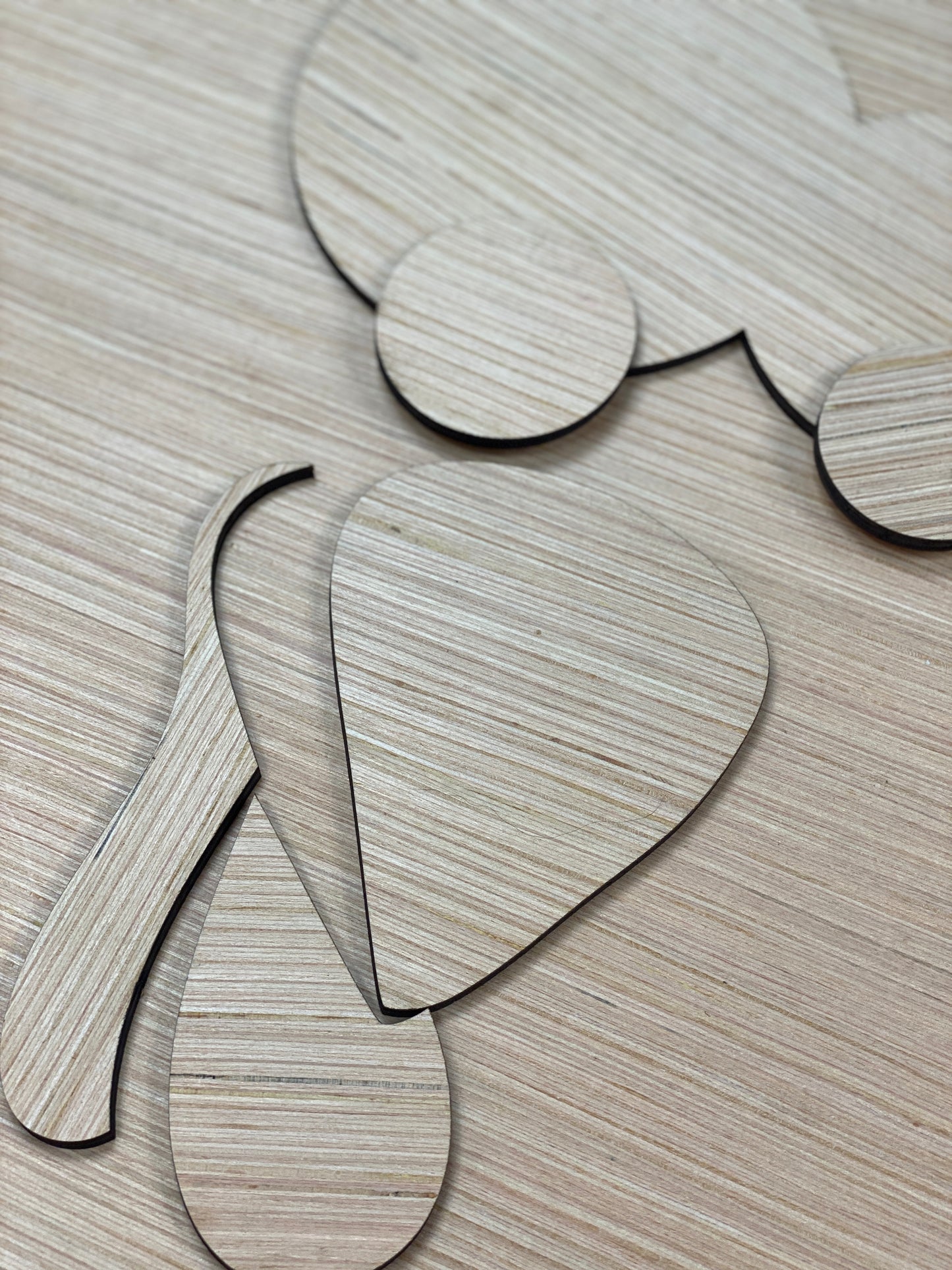 Funny Goofy Turkey Face Door Hanger Laser Cut Blank for DIY Project
