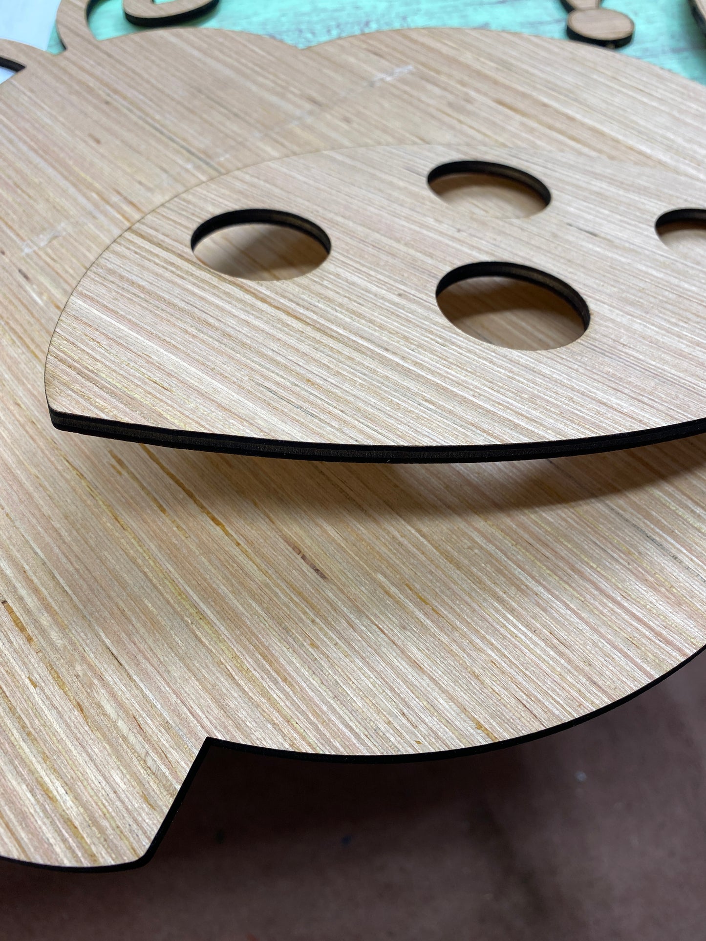 Lady Bug Door Hanger Laser Cut Blank for DIY Project