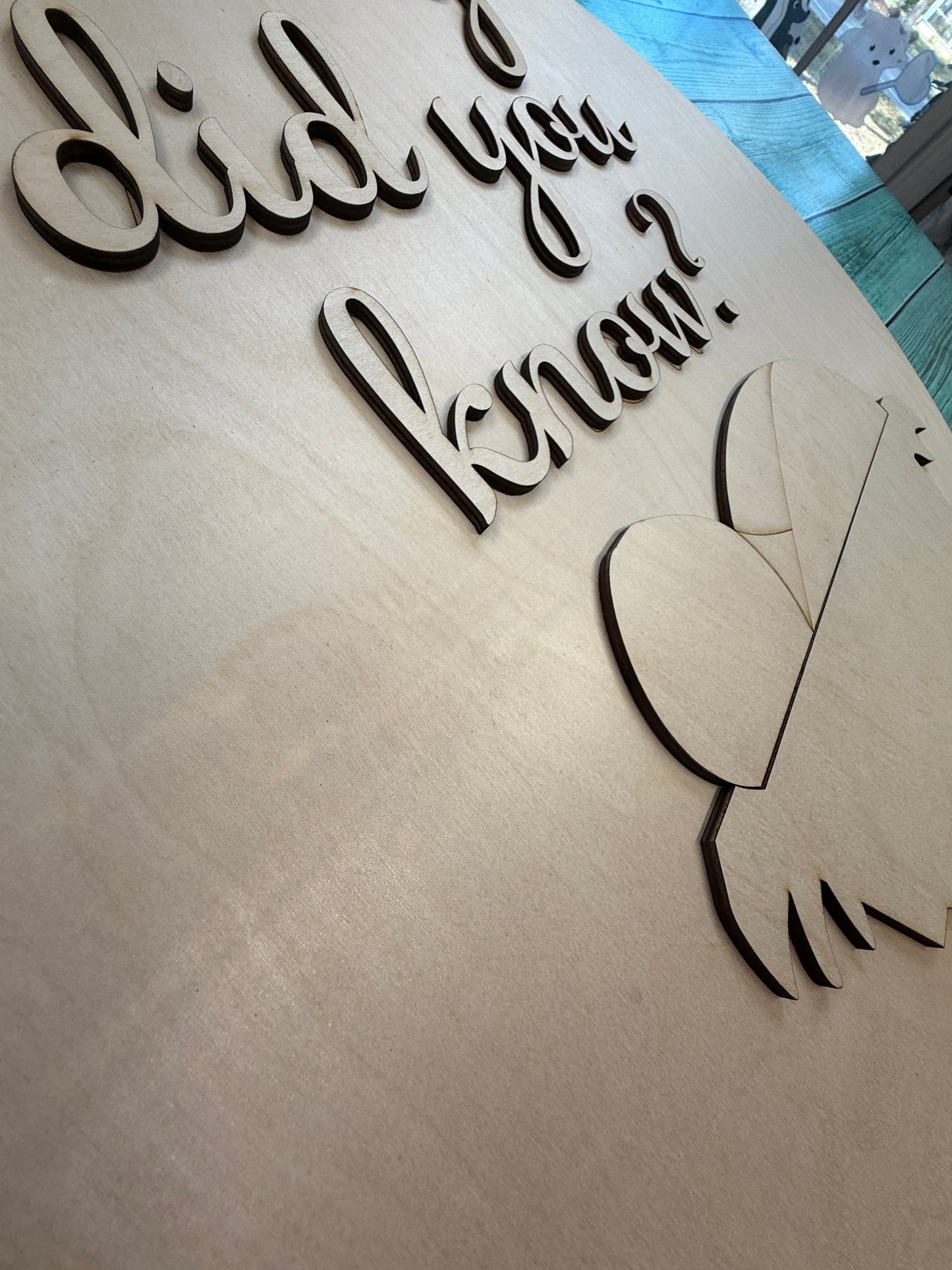 Mary Did You Know Door Hanger / Wall Hanging Blank DIY Kit or Painted Ready to Hang Sign / Baby Jesus